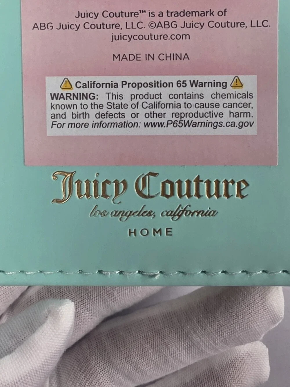 Juicy Couture Journal - Mint with Gold Logo